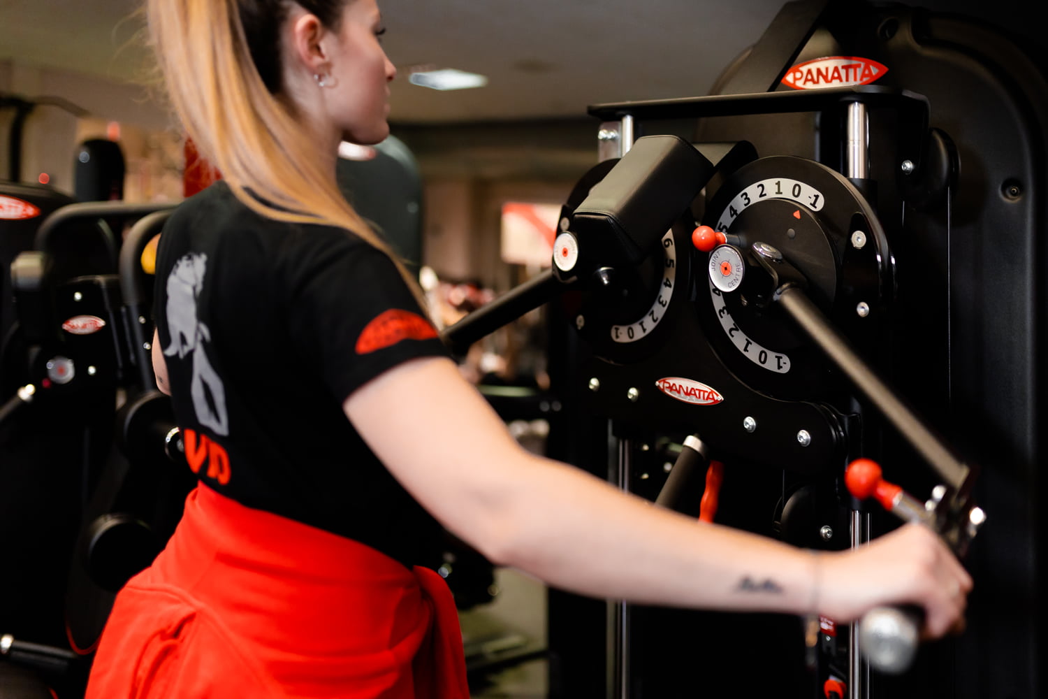 Standing Multi Flight Machine Palestra Il David powered Panatta