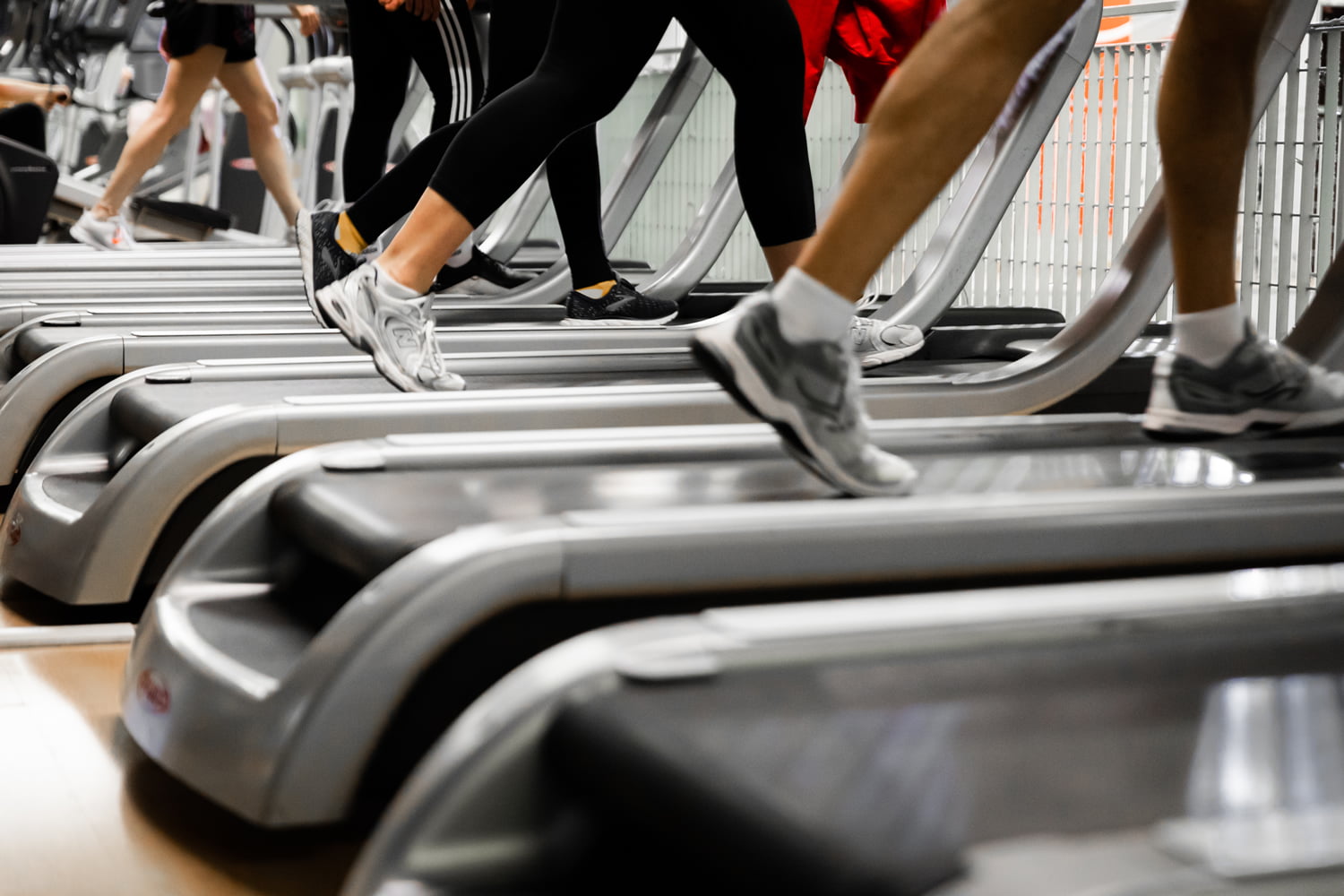 Cardio Fitness Palestra Il David