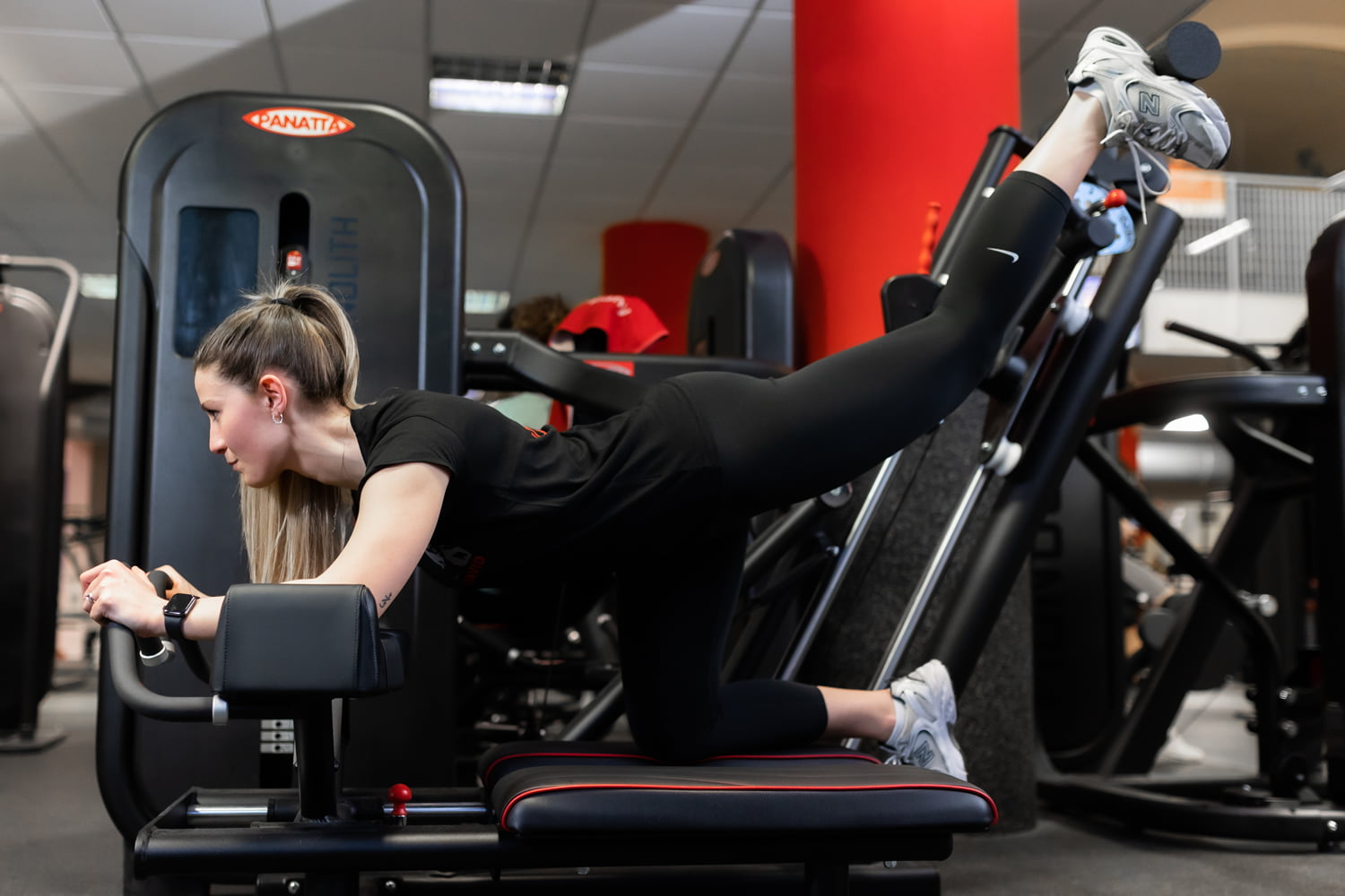 Master Glutes Palestra Il David powered Panatta