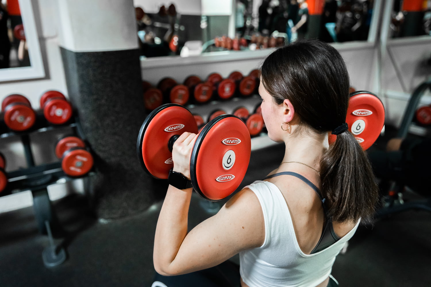 Pesistica Palestra Il David