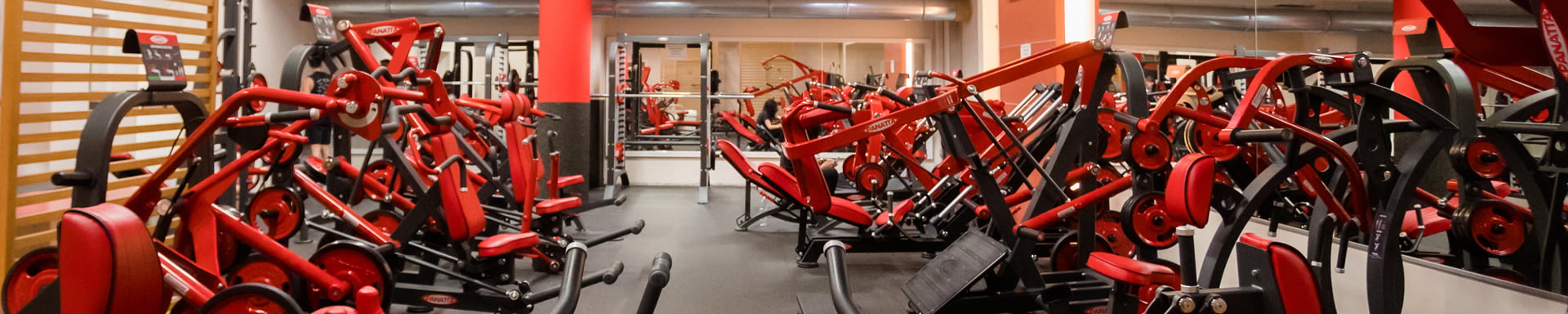 Scopri la Palestra Il David Jesi